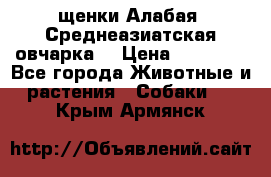 щенки Алабая (Среднеазиатская овчарка) › Цена ­ 15 000 - Все города Животные и растения » Собаки   . Крым,Армянск